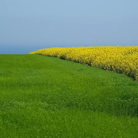 Manoir De Graincourt 住宿加早餐酒店